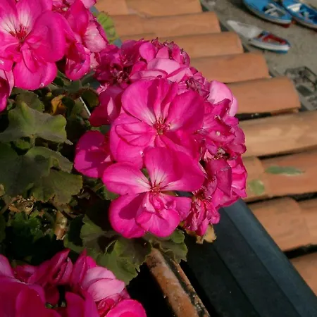 Szálloda La Riva 3*